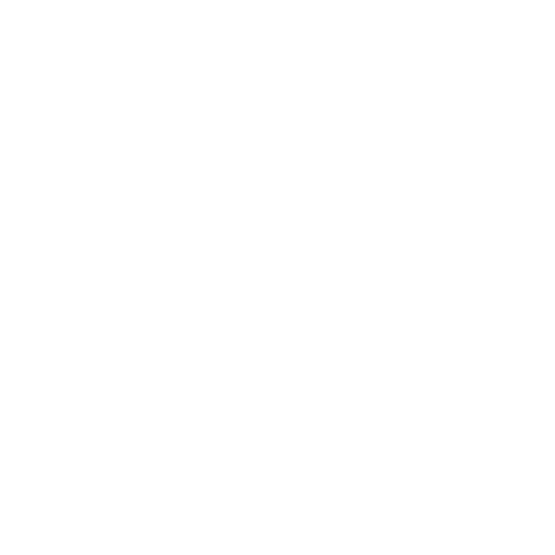 New Life Hutto